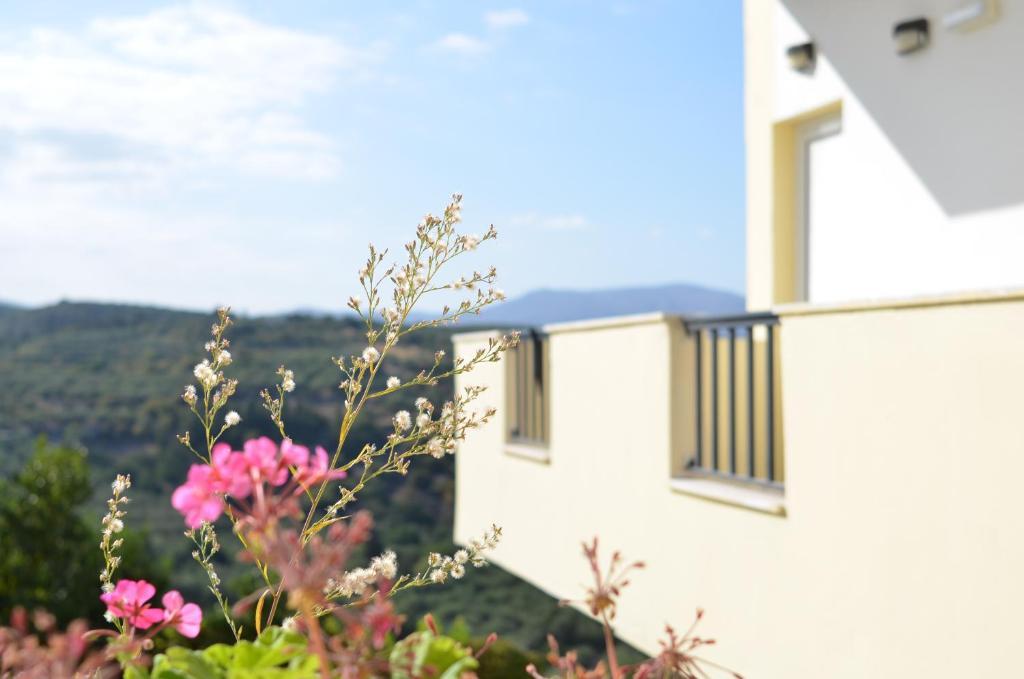Kaloudis Apartments Almirida Exterior foto